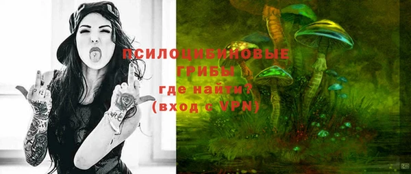дмт Алзамай