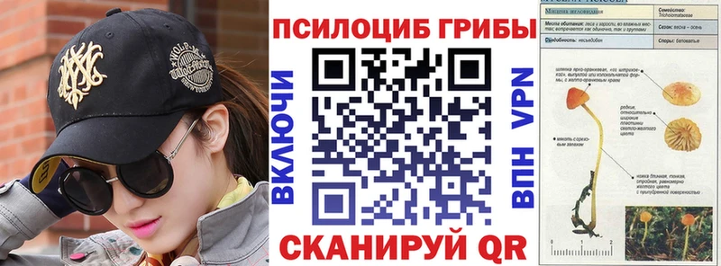 mega онион  Алушта  Псилоцибиновые грибы Cubensis 